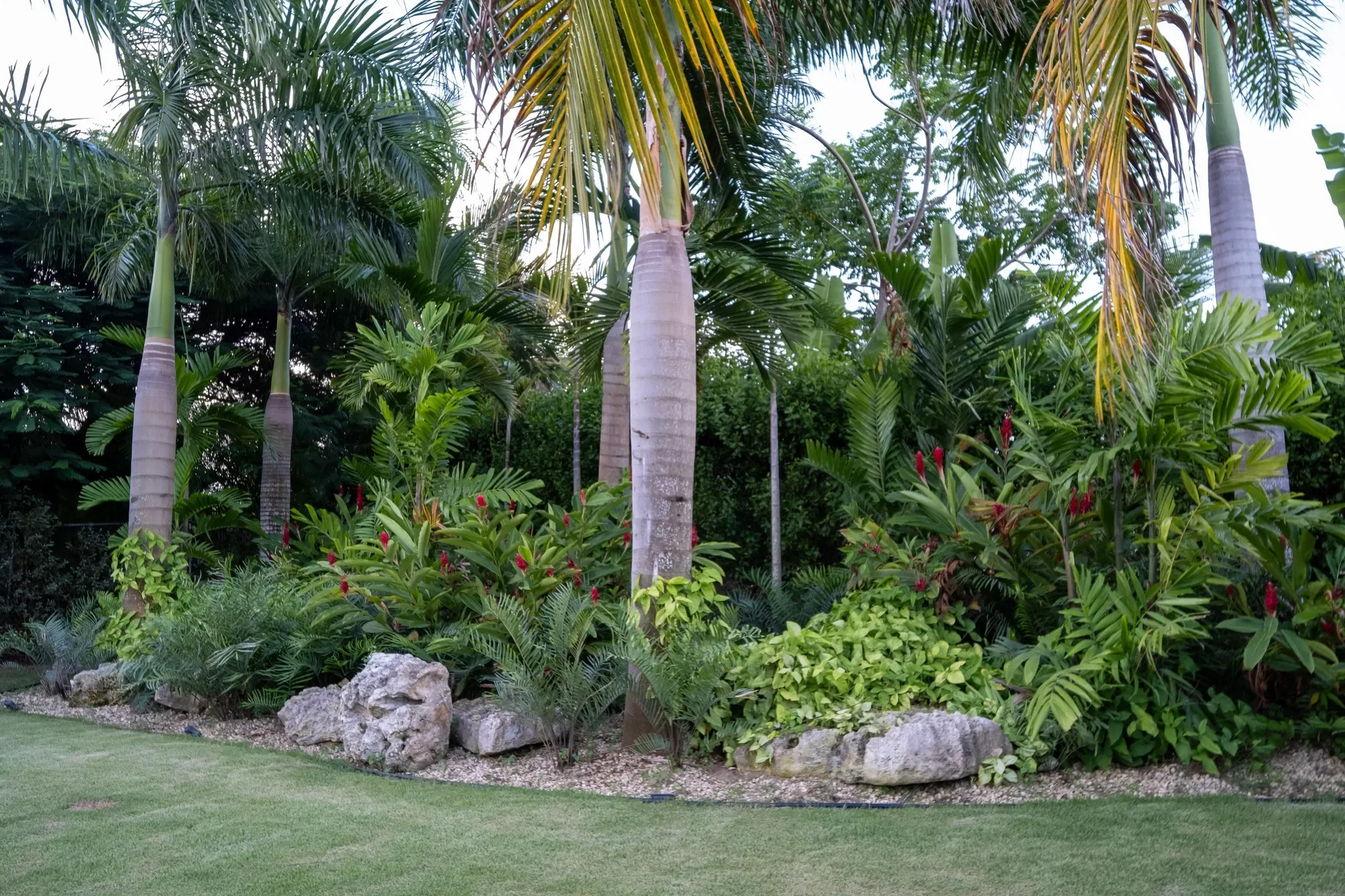 Unnamed Road, Punta Cana 23000, Dominican Republic, Juanillo, La Altagracia Province, Dominican Republic. - Photo 24