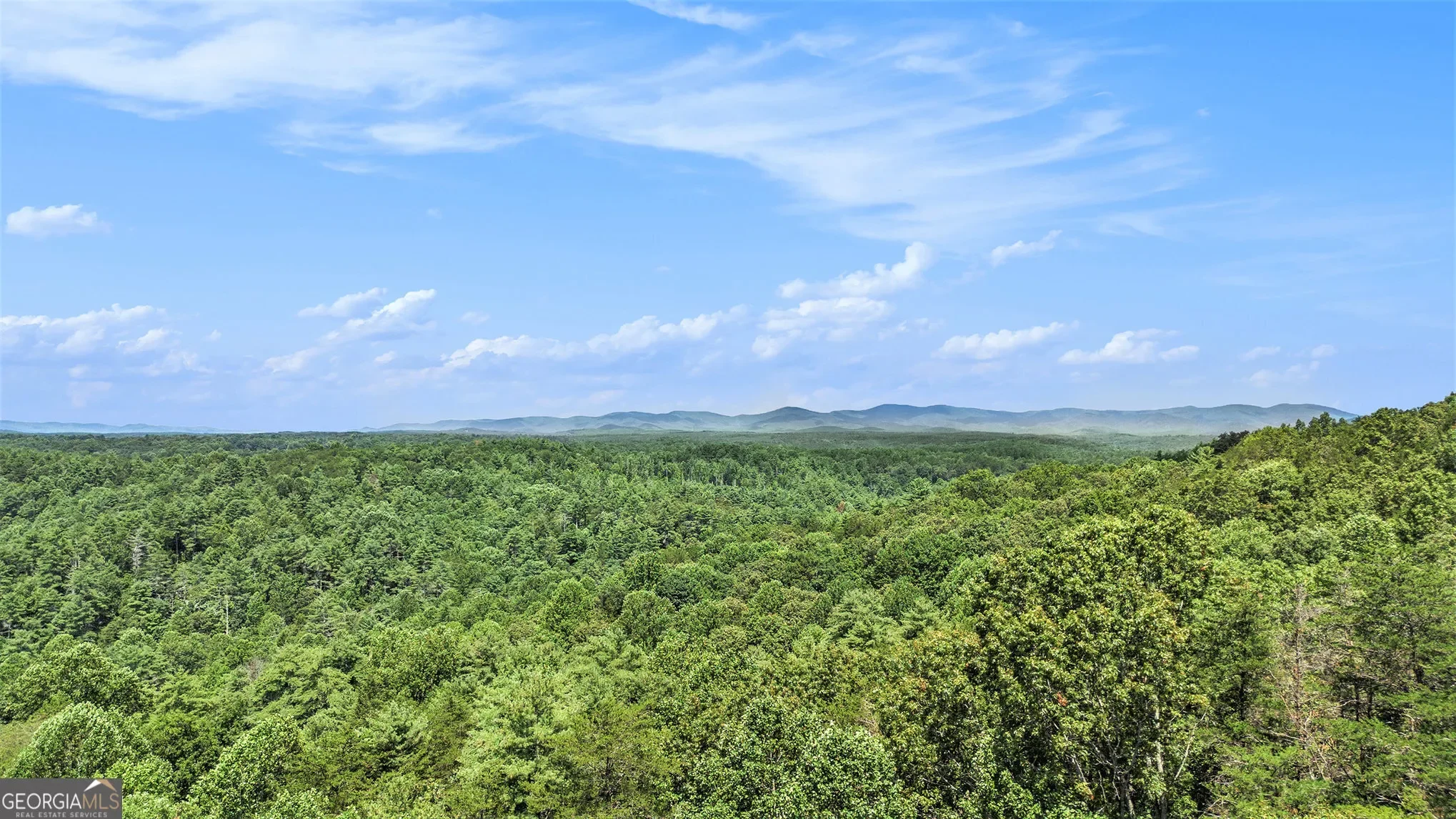 Dahlonega, Georgia, United States. - Photo 46