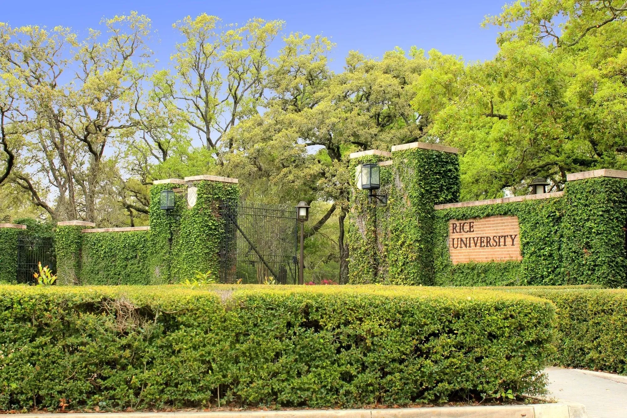 2309 Shakespeare Street, Houston, Texas, United States. - Photo 30