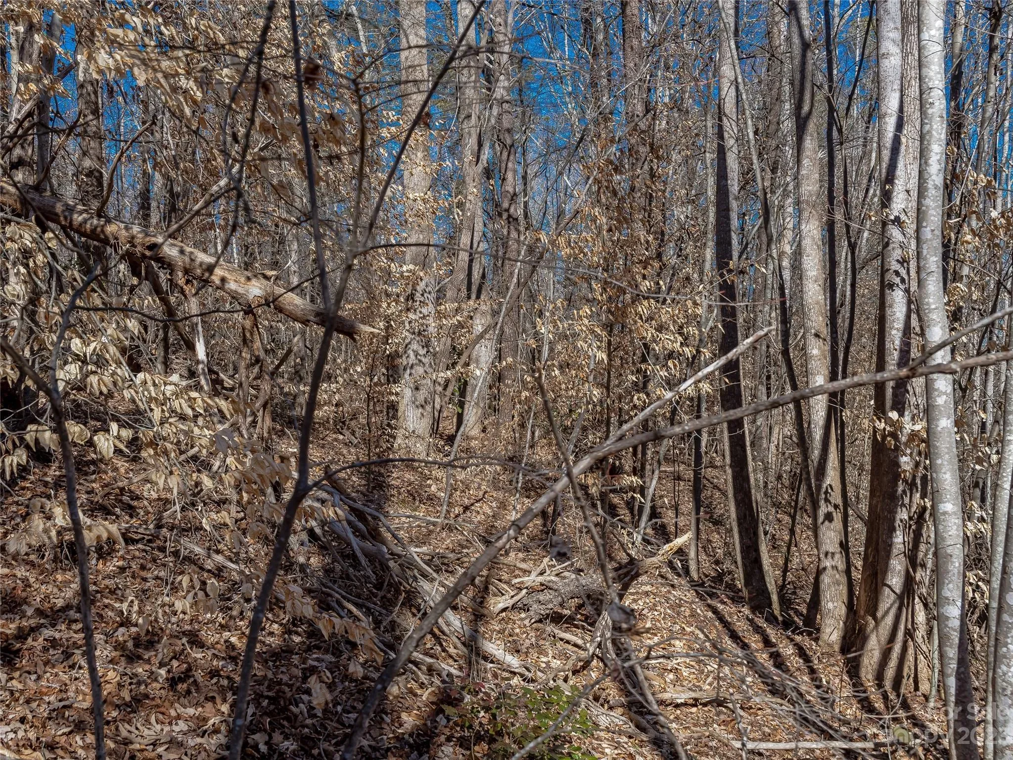 99999 Pea Ridge Road, Mill Spring, NC 28756, Tryon, North Carolina, United States. - Photo 17