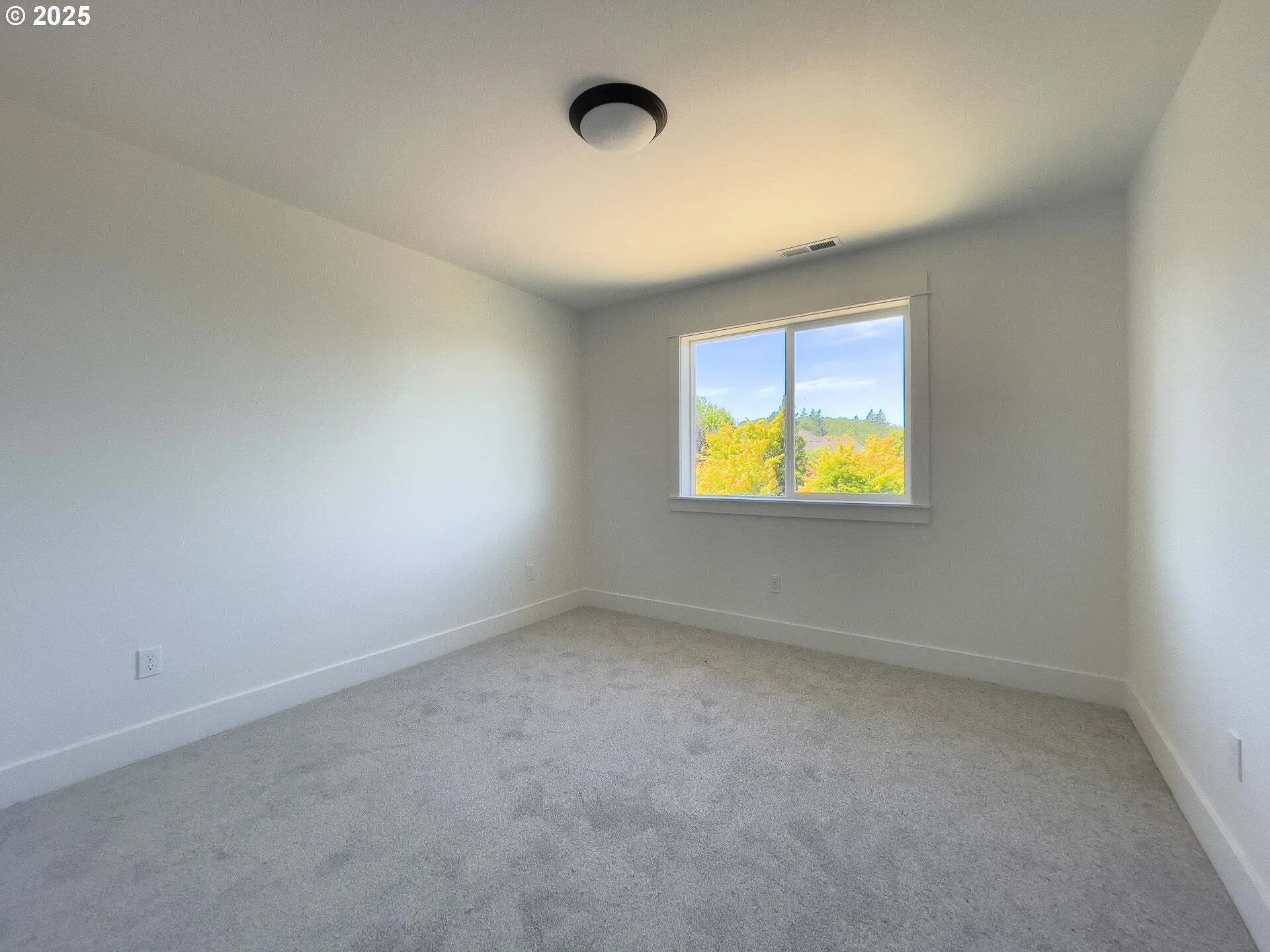 Gallery photo 4