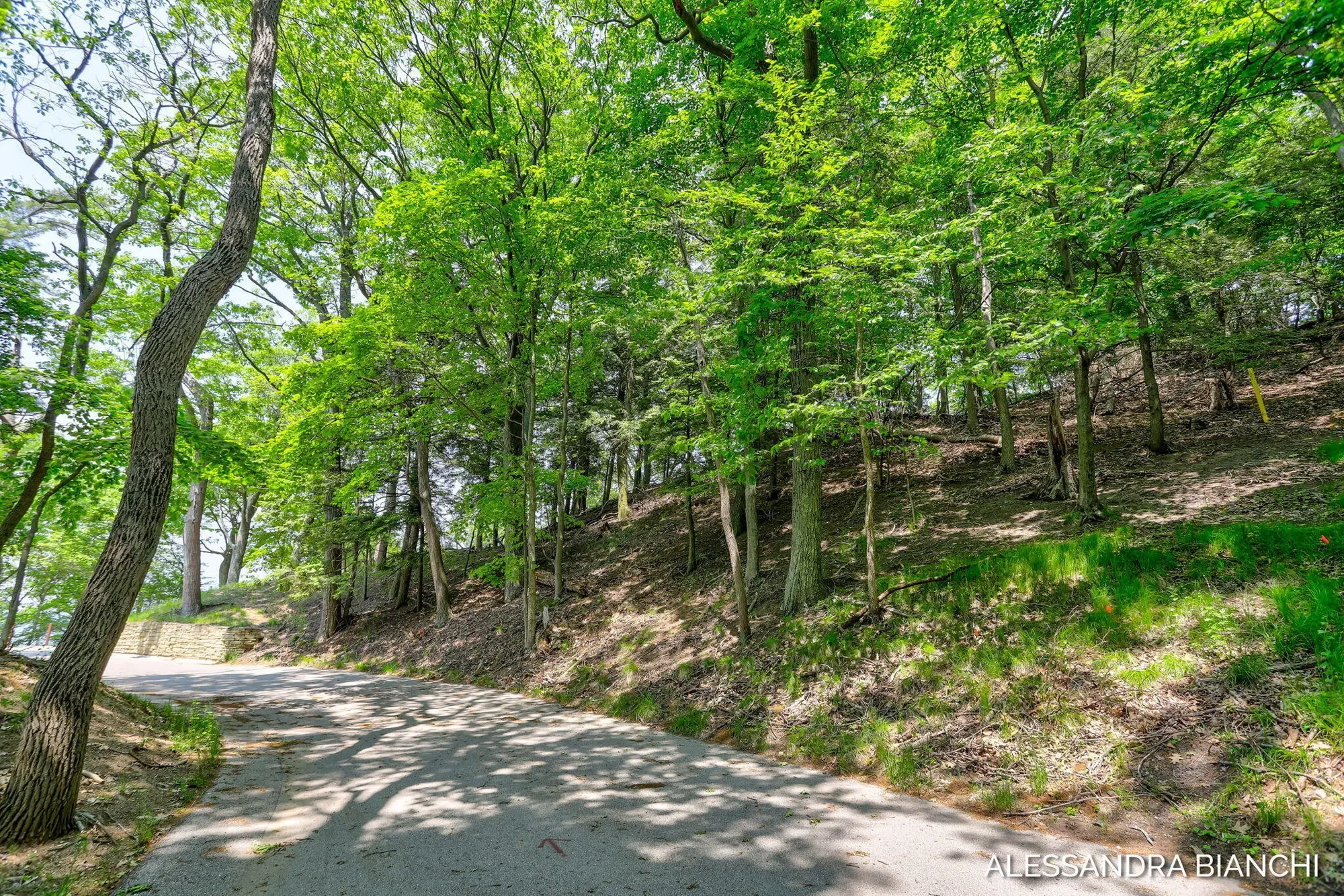 225 Dunegrass Ridge Drive, Saugatuck, MI 49453, Fennville, Michigan, United States. - Photo 12