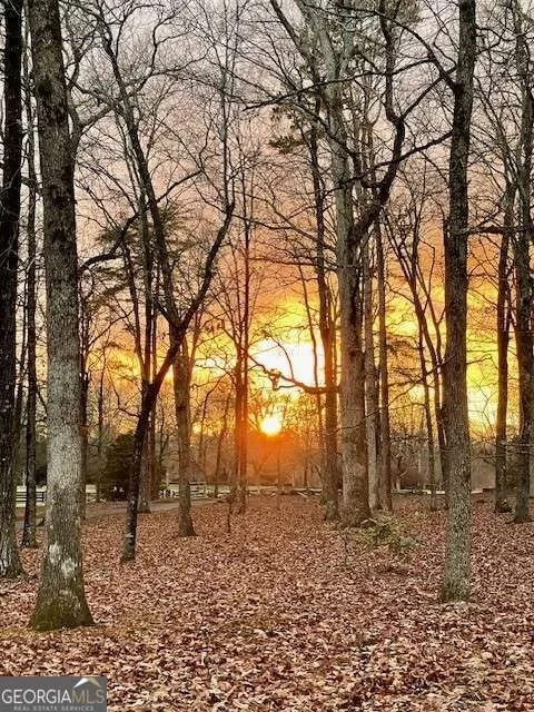 Clermont, Georgia, United States. - Photo 63