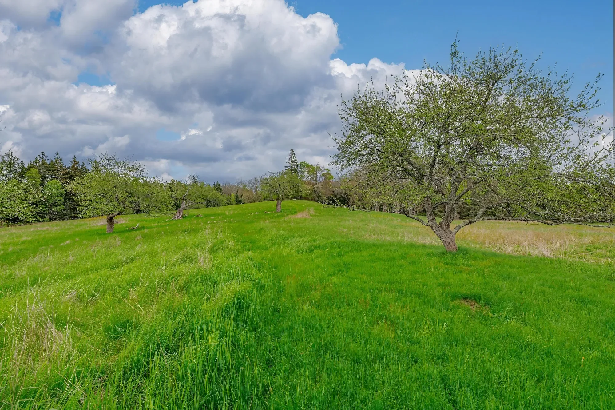 17 Barbour Farm Road, Stonington, ME 04681, Stonington, Maine, United States. - Photo 41