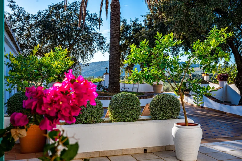 29400 Ronda, Málaga, Spain, Ronda, Andalusia, Spain. - Photo 16