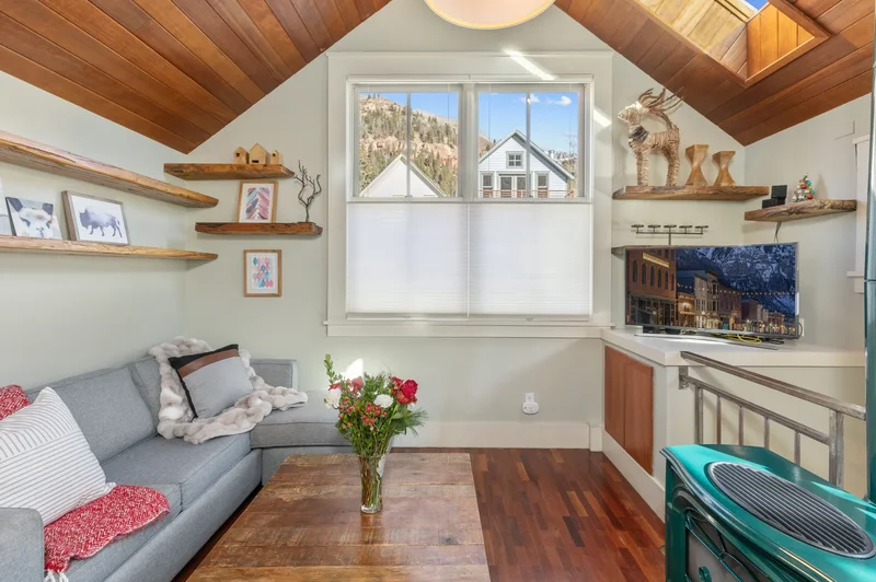 431 W Pacific Avenue Unit D, Telluride, CO 81435, Mountain Village, Colorado, United States. - Photo 5