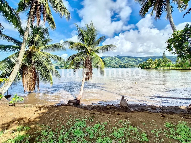 Toahotu, Toahotu, Taiarapu-Ouest, Windward Islands, French Polynesia. - Photo 17