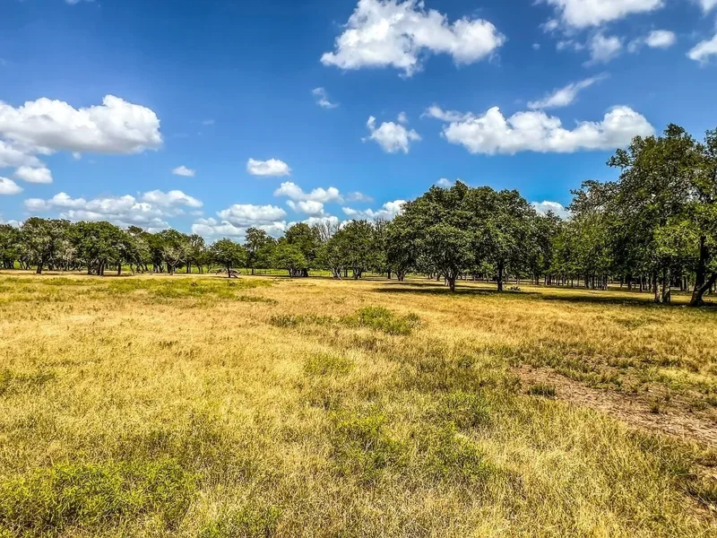 1220 County Road 225, Briggs, TX 78608, Briggs, Texas, United States. - Photo 28