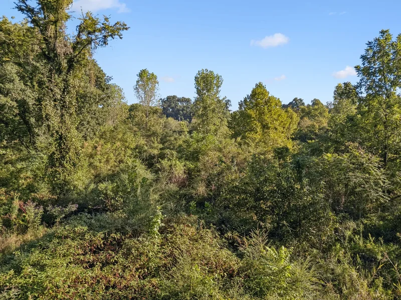 0 Northstone Drive, Columbia, TN 38401, Columbia, Tennessee, United States. - Photo 36