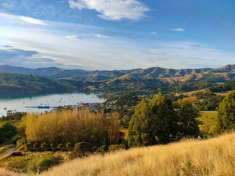 41 Lighthouse Road, Akaroa, CAN 7520, Akaroa, Canterbury, New Zealand. - Photo 8