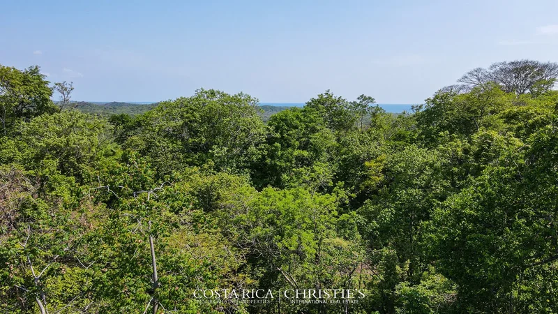Senderos, Tamarindo, Guanacaste Province, Costa Rica. - Photo 2