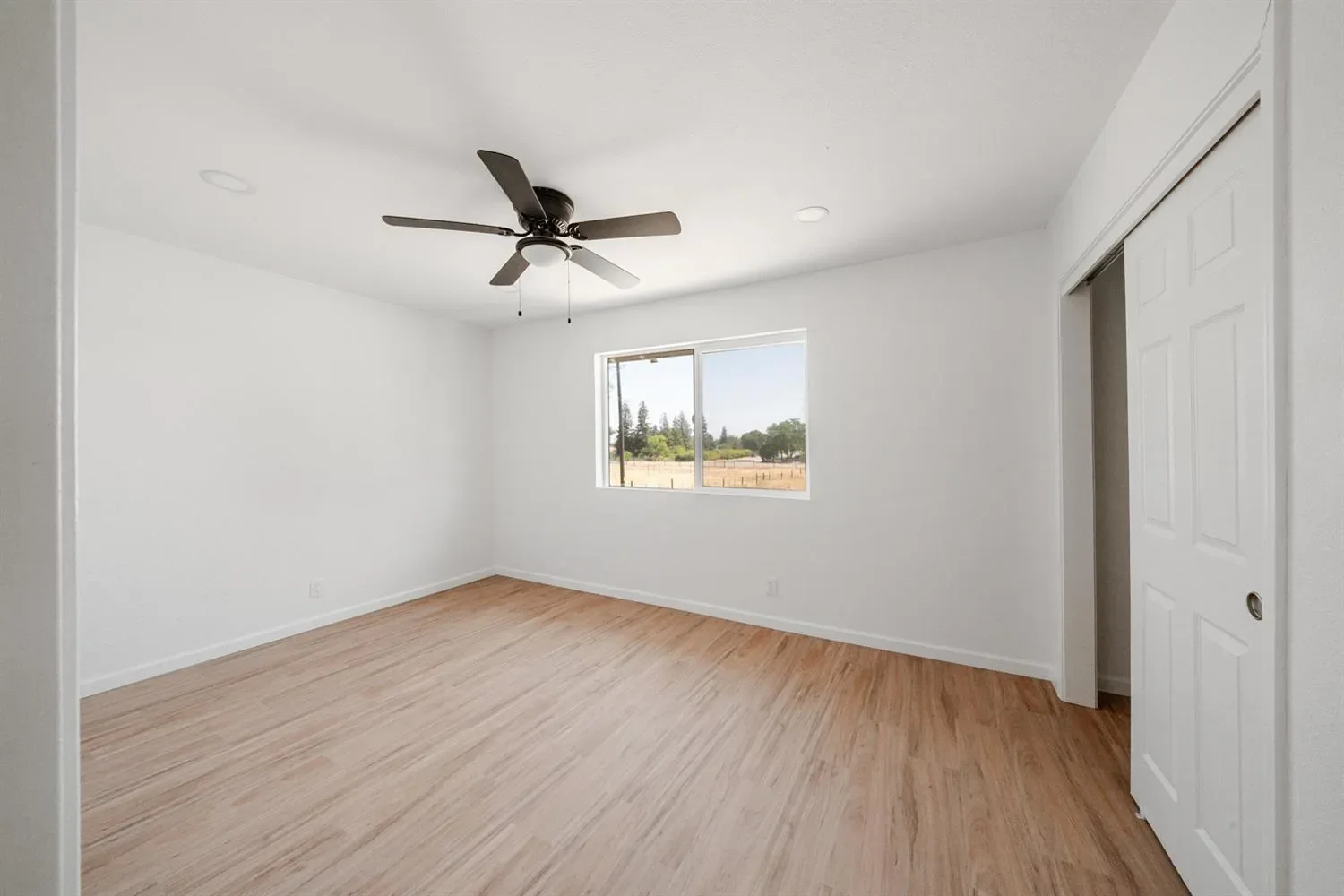 Gallery photo 4