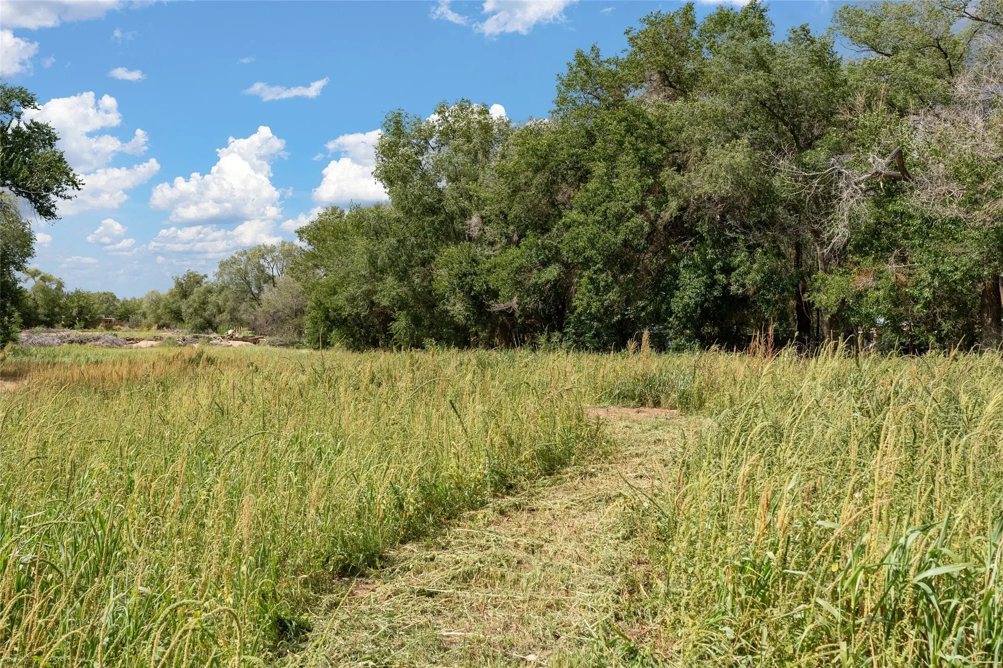 0 Wallace Lane, Corrales, NM 87048, Corrales, New Mexico, United States. - Photo 4