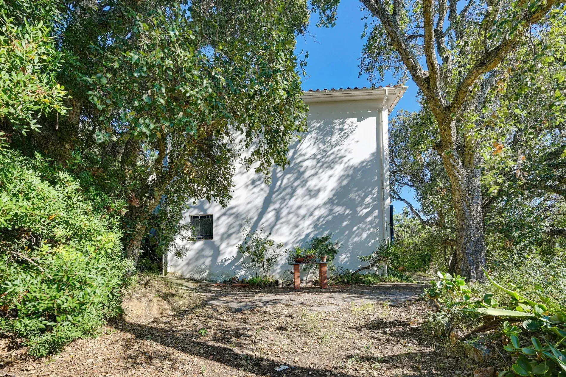 Exterior photo 5