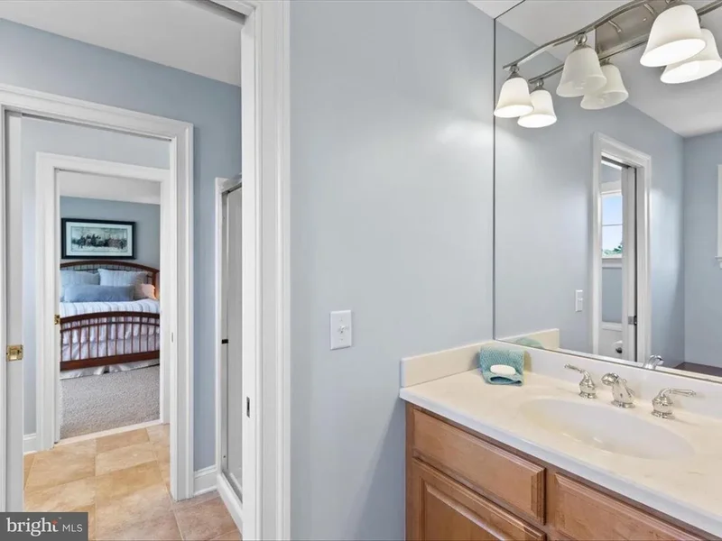 10542 EGRET CT, BISHOPVILLE, MD, 21813, USA, Bishopville, Maryland, United States. - Photo 93