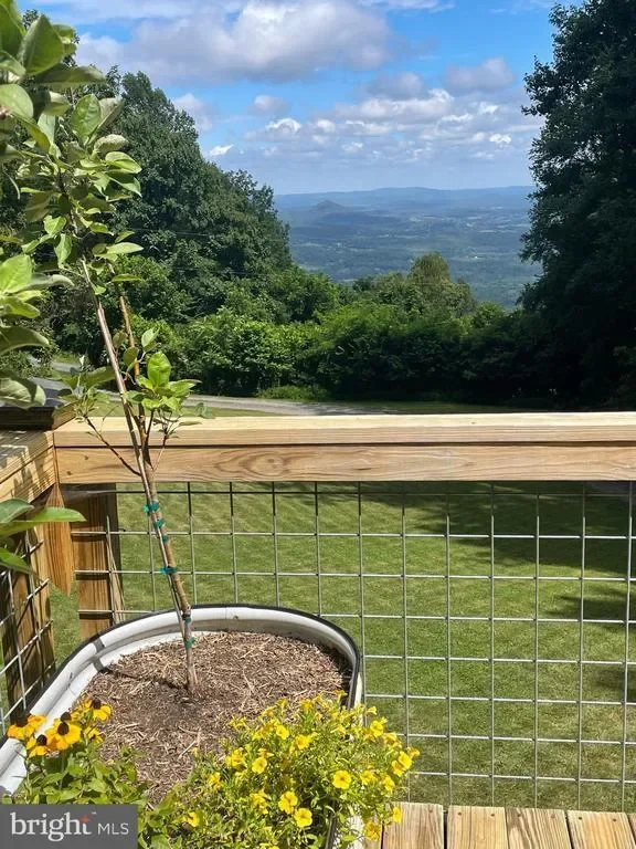 46 Rock Ridge Lane, Chester Gap, VA 22623, Chester Gap, Virginia, United States. - Photo 61
