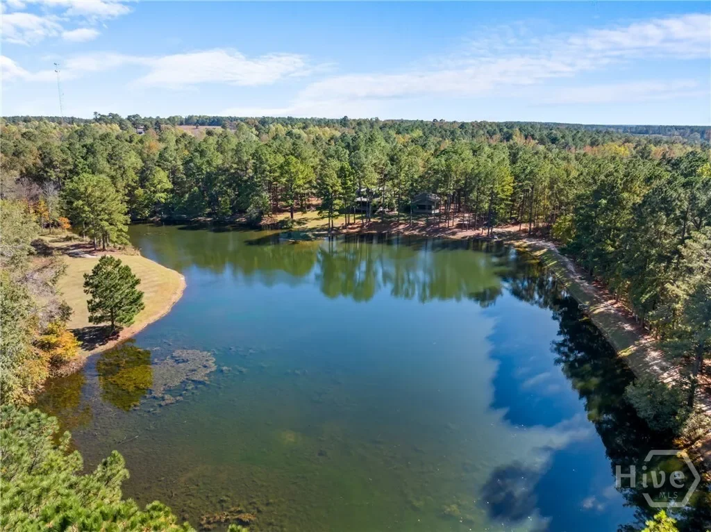 0 Honey Ridge Road, Millen, Georgia, United States. - Photo 38