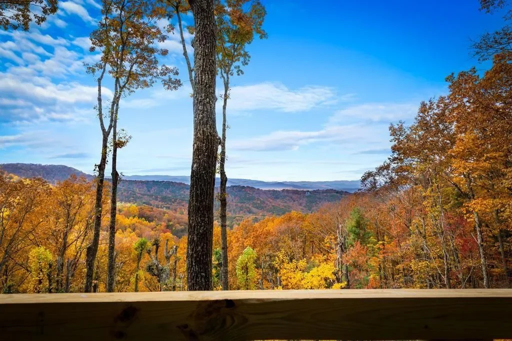 225 Grand Vista, Blue Ridge, Georgia, United States. - Photo 59