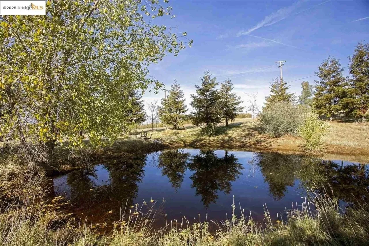16101 Moccasin Ranch, La Grange, CA 95311, Coulterville, California, United States. - Photo 3