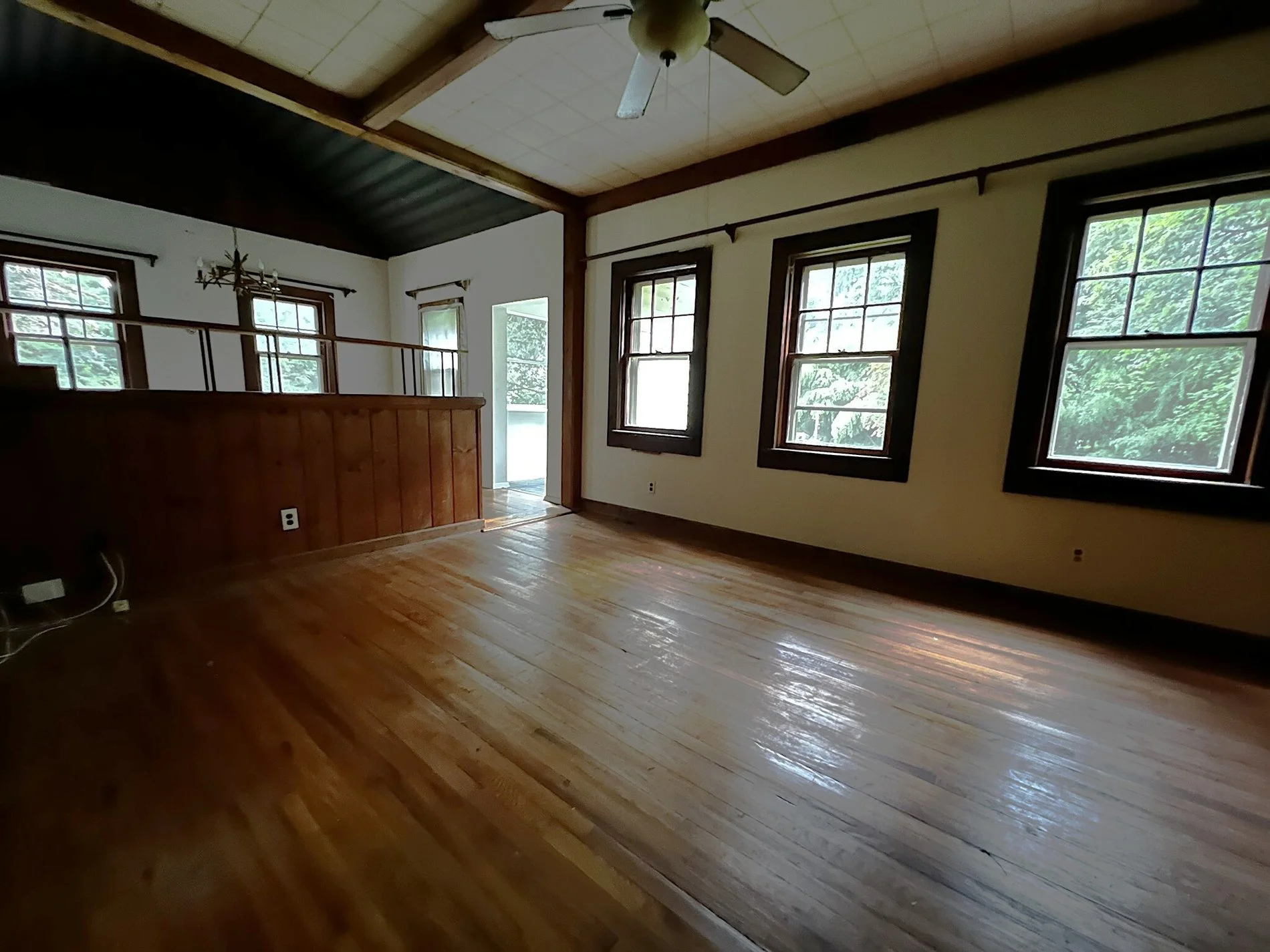 Gallery photo 2