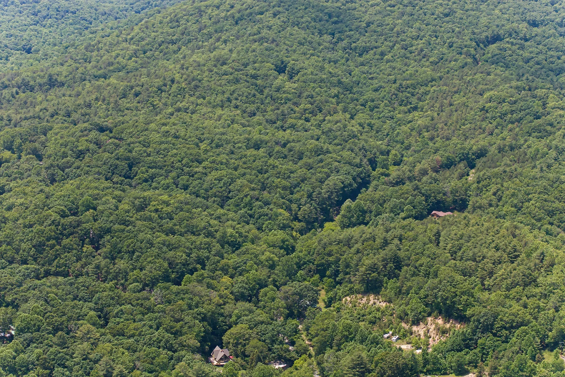 1000 Sutton Creek Road, Pisgah Forest, NC 28768, Mills River, North Carolina, United States. - Photo 21