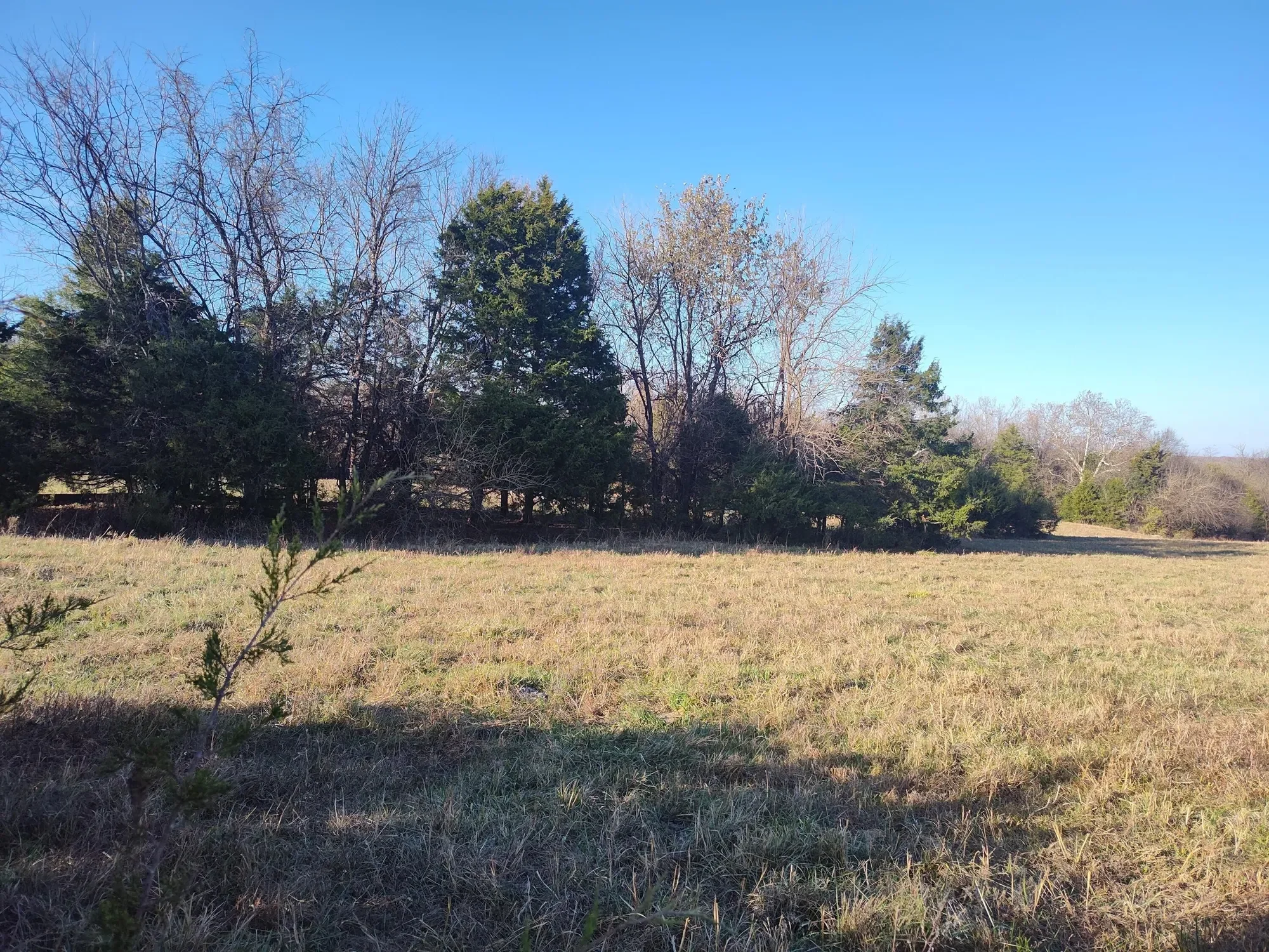 1672 E 355th Road, Bolivar, MO 65613, Pittsburg, Missouri, United States. - Photo 55