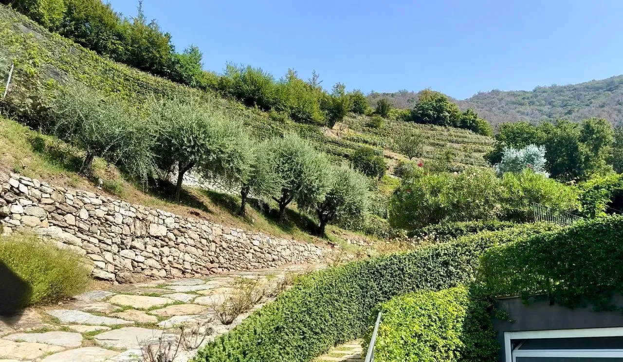 6833 Vacallo, Switzerland, Vacallo, Ticino, Switzerland. - Photo 13