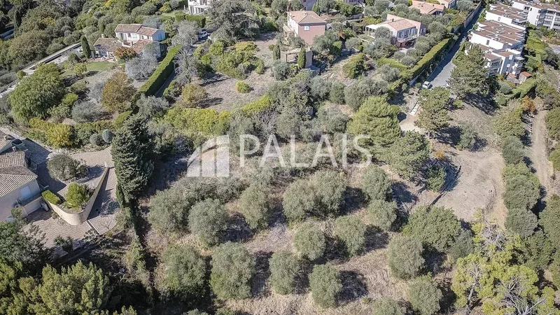 Nice, Provence-Alpes-Côte d'Azur, France. - Photo 16