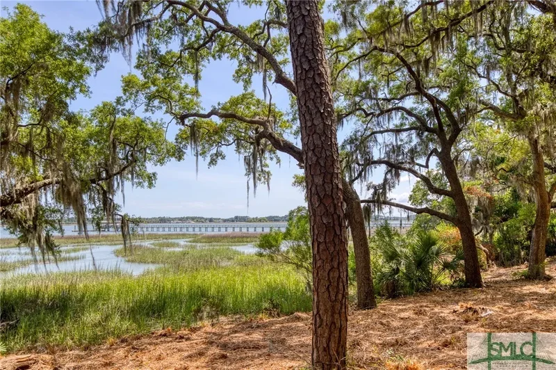 9 Longbridge Road, Savannah, Georgia, United States. - Photo 18