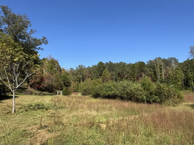 147 Helton Lane, Mill Spring, NC 28756, Mill Spring, North Carolina, United States. - Photo 9