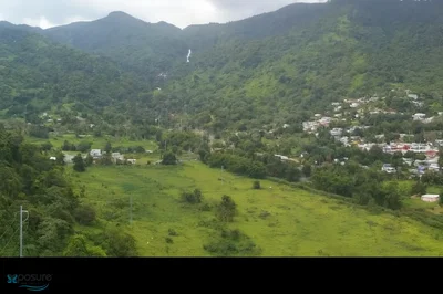 Thumbnail 18