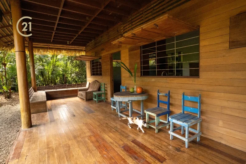Limón Province, Cahuita, Costa Rica, Cahuita, Limón Province, Costa Rica. - Photo 38