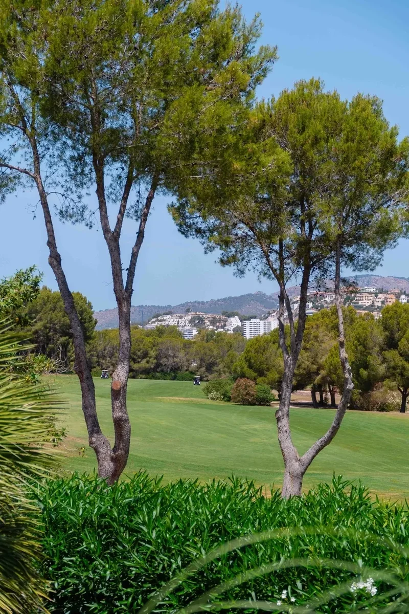 Avinguda Del Golf 23, Santa Ponsa, Balearic Islands, Spain. - Photo 40