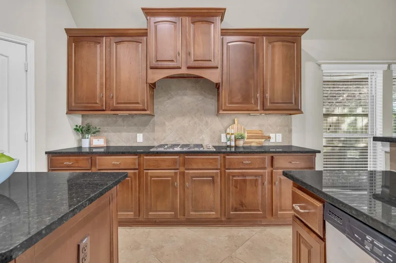 119 Colina Vista Way, Montgomery, TX 77316, Montgomery, Texas, United States. - Photo 4