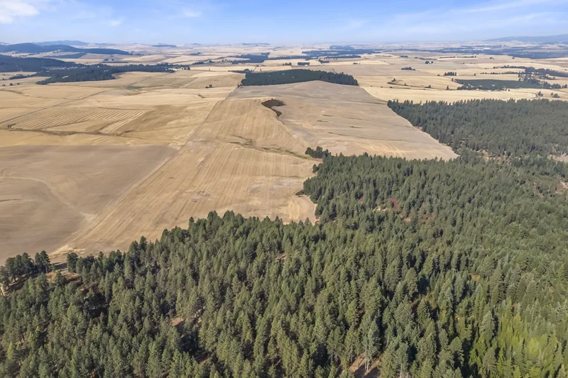 8597 W Rolling Hills Road, Worley, ID 83876, Worley, Idaho, United States. - Photo 3