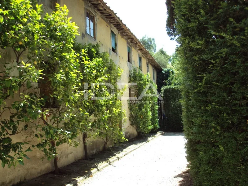 Lucca, Tuscany, Italy. - Photo 7