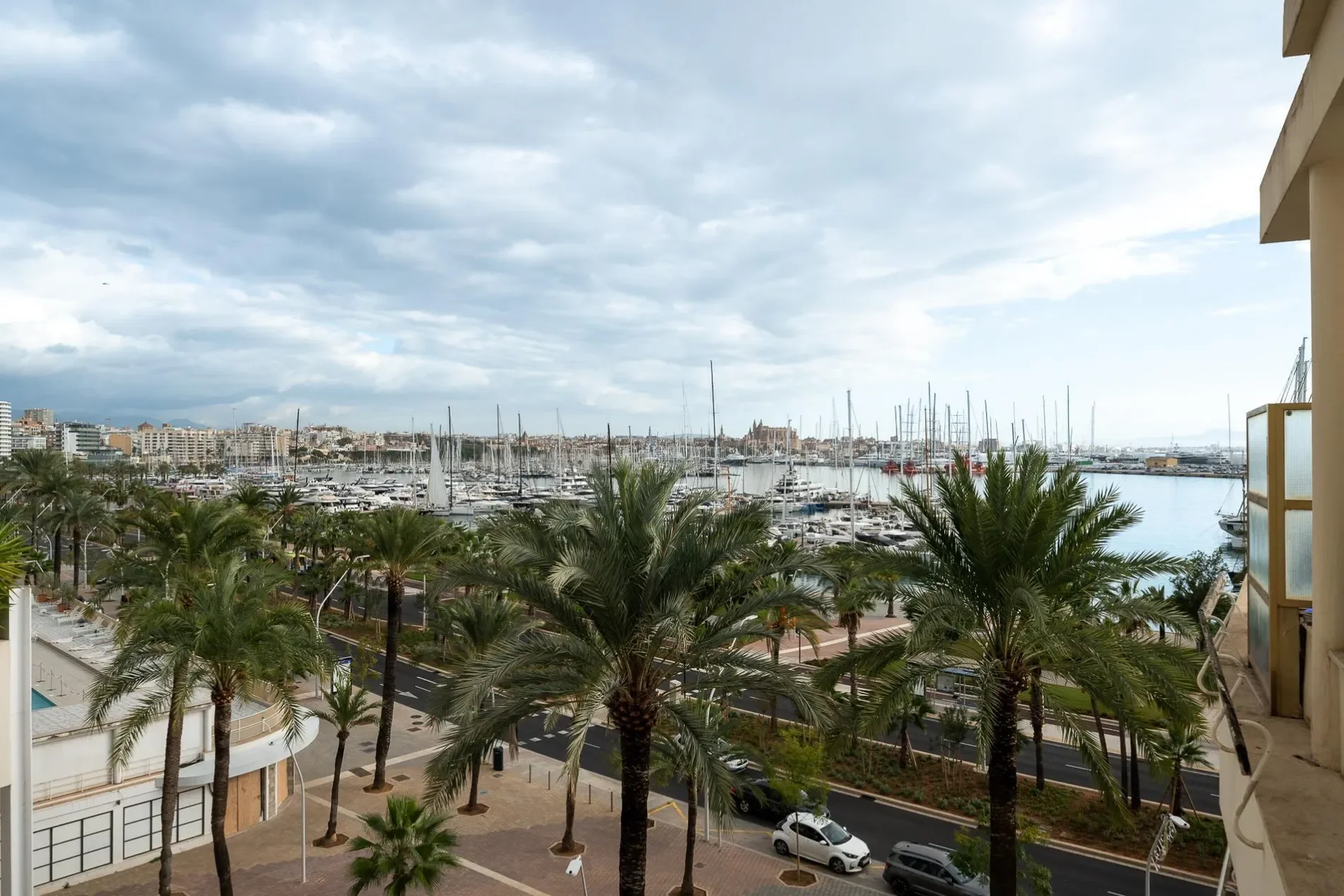 El Terreno, Palma de Mallorca, BALEARES, Palma de Mallorca, Palma, Balearic Islands, Spain. - Photo 30