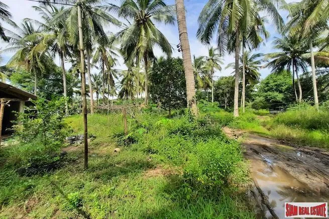 Krabi,, Nong Thale, Krabi, Thailand. - Photo 3