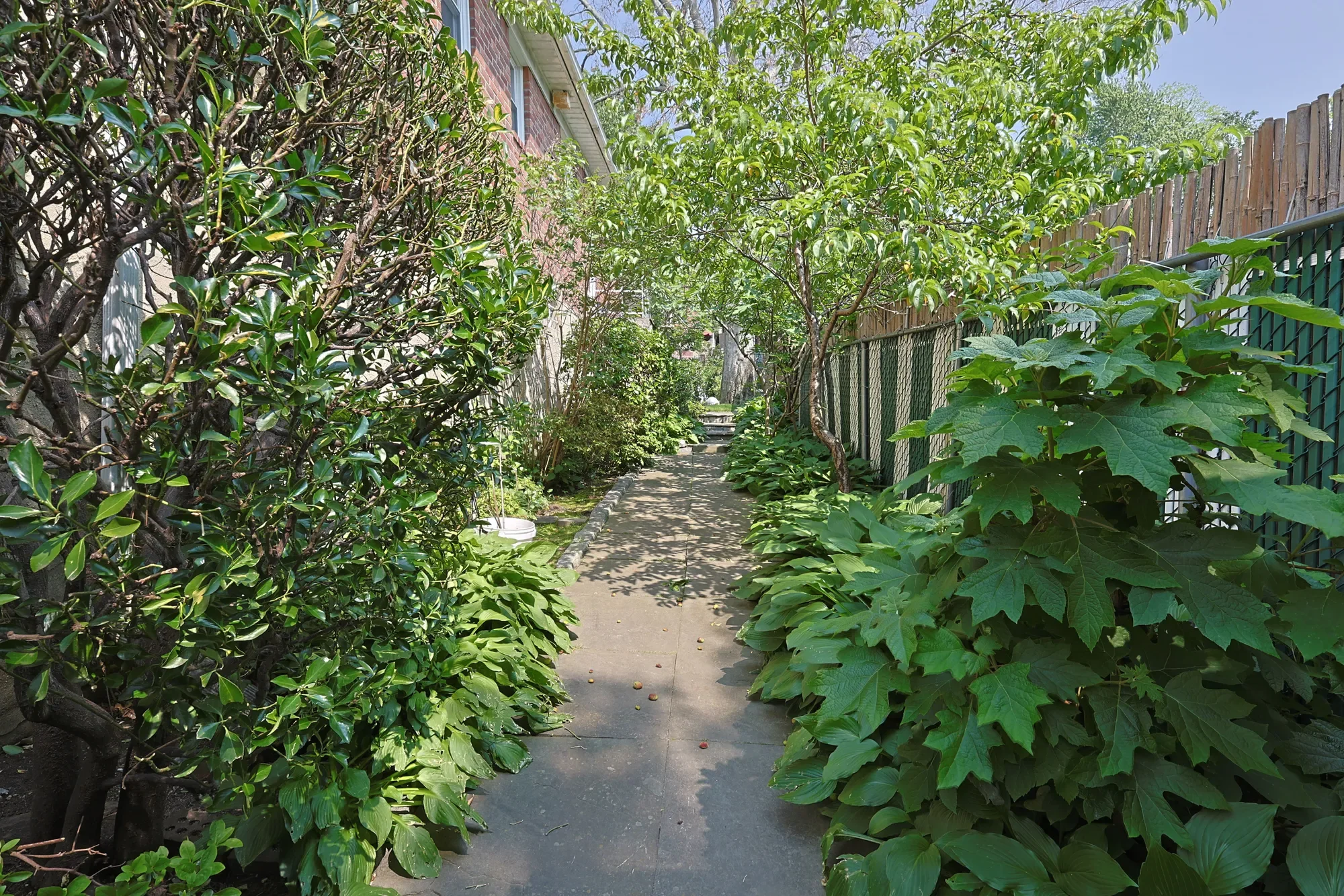 Gallery photo 7