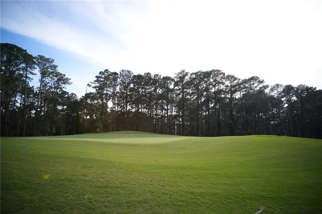 161 Flamingo Court, Monticello, Georgia, United States. - Photo 43