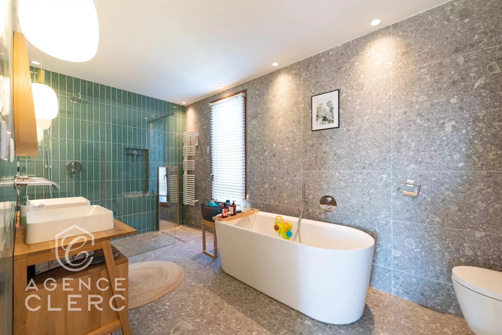 Haute-Savoie, France. - Photo 17