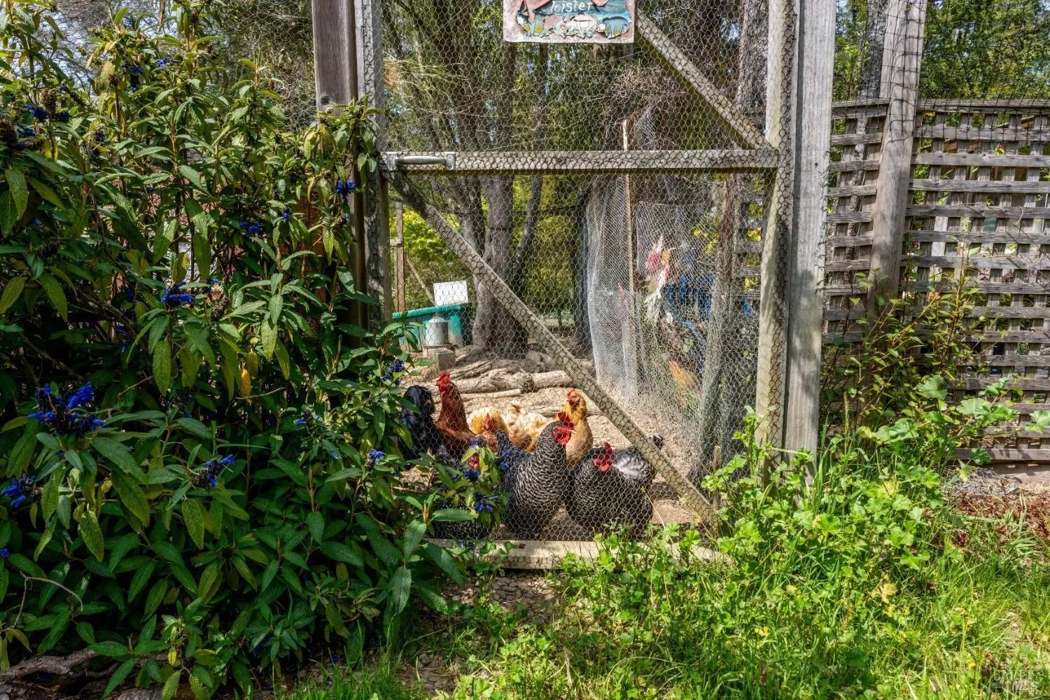40811 Eureka Hill Road, Point Arena, California, United States. - Photo 7