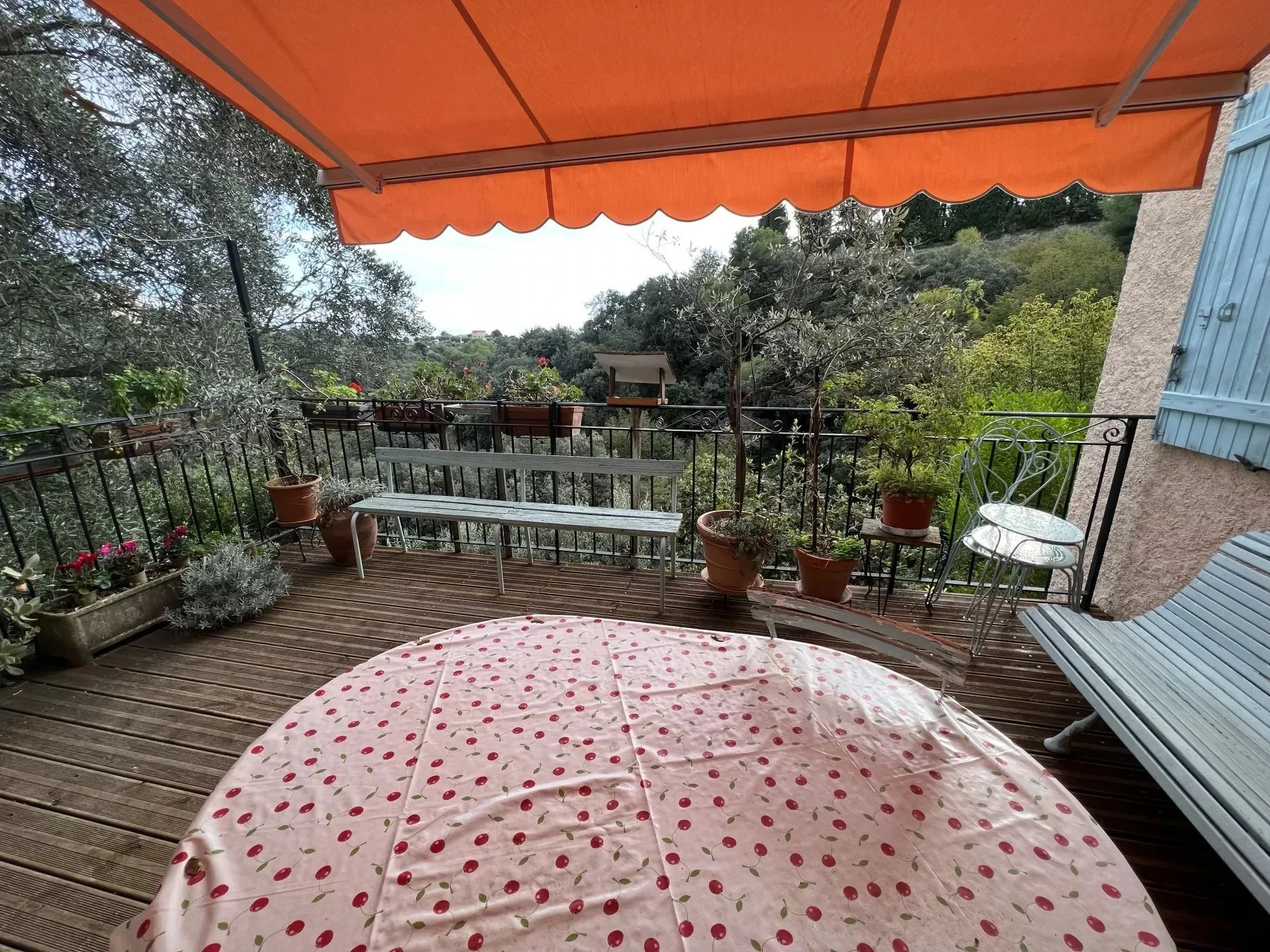Nice, Provence-Alpes-Côte d'Azur, France. - Photo 18