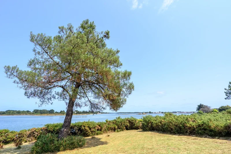 PLOUHINEC, E 56680, Plouhinec, Brittany, France. - Photo 16