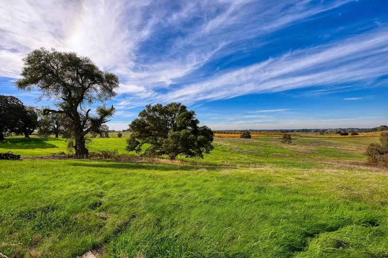21285 E Acampo Road, Clements, CA 95227, Lodi, California, United States. - Photo 49