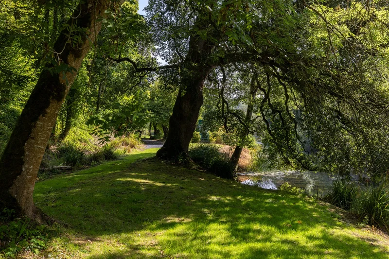 Annamult House Stoneyford, County Kilkenny, KK R95 H2K5, Stoneyford, County Kilkenny, Ireland. - Photo 11