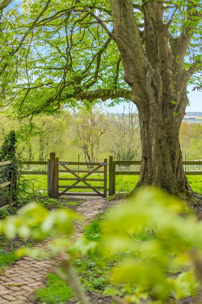 Knoll Hill, Aldington, Kent, Aldington, England, United Kingdom. - Photo 11