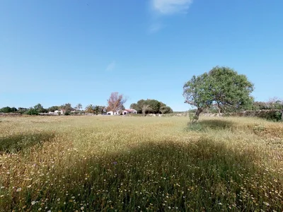 Thumbnail 20