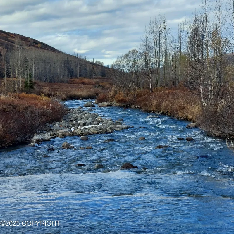 Mile 18 Willow-Fishhook Road, Willow, AK 99688, Willow, Alaska, United States. - Photo 43