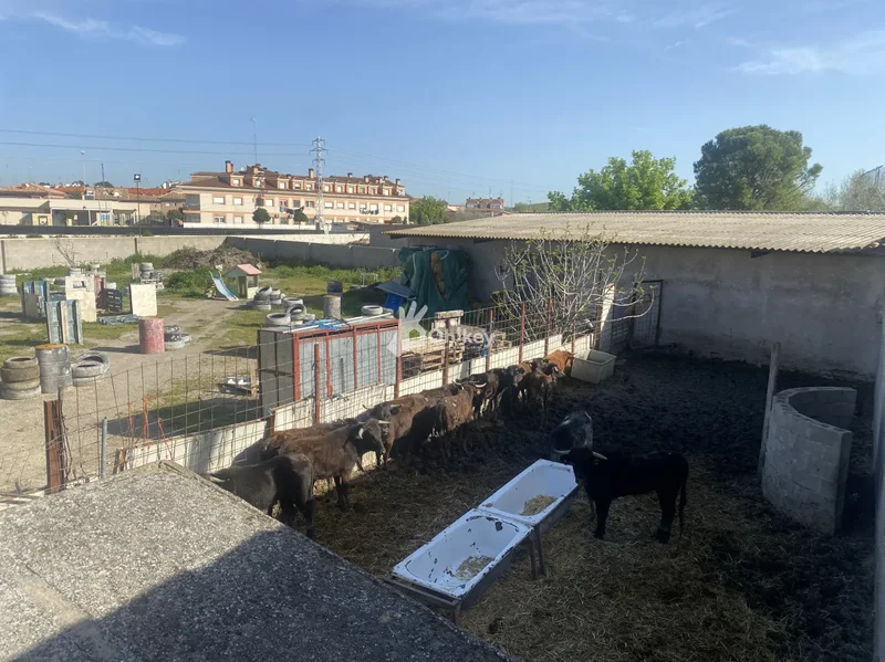 Avenida de los Cisneros, 18, Yeles, Castile-La Mancha, Spain. - Photo 11